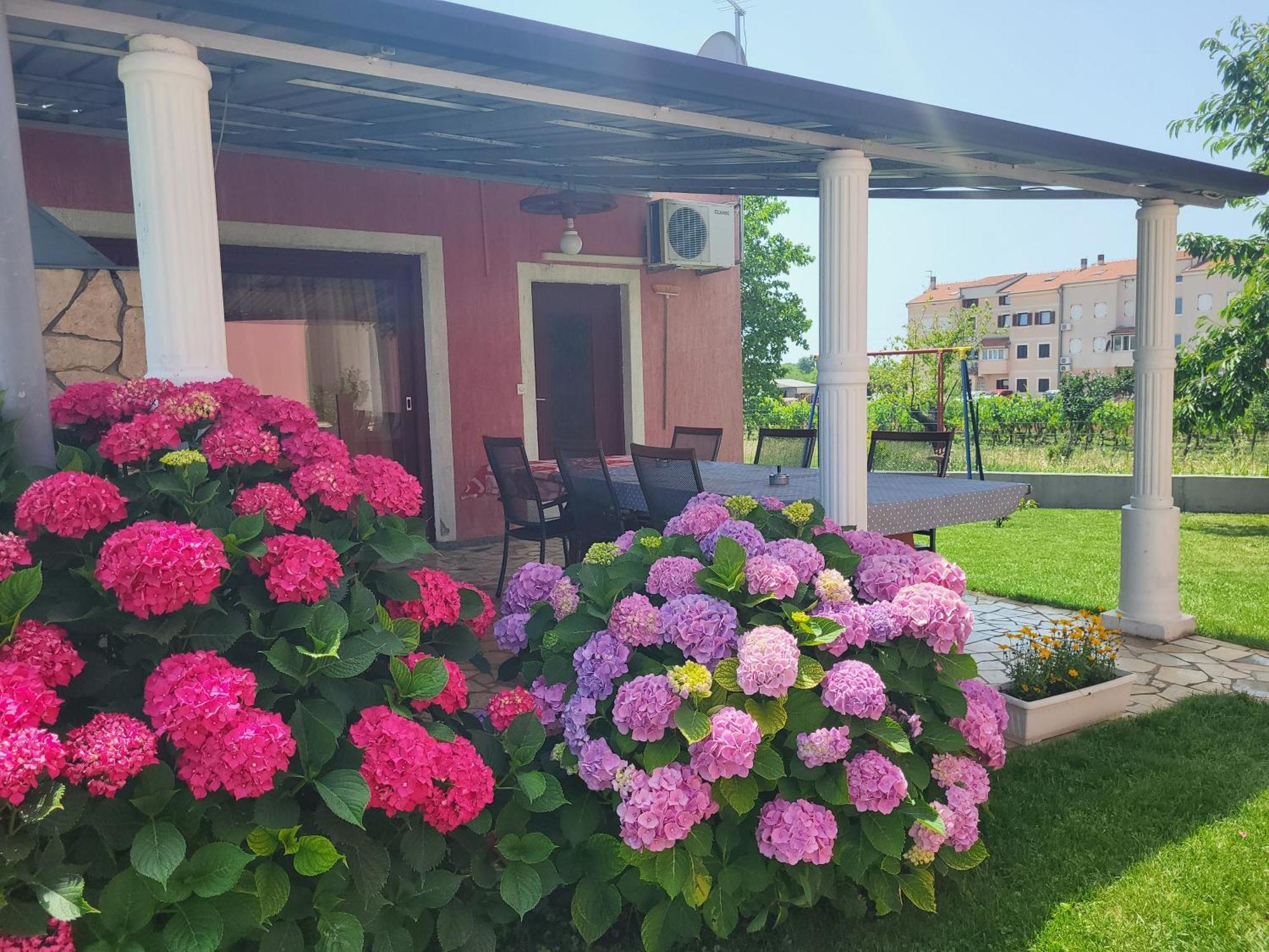 Apartments Dragica Πόρετς Εξωτερικό φωτογραφία