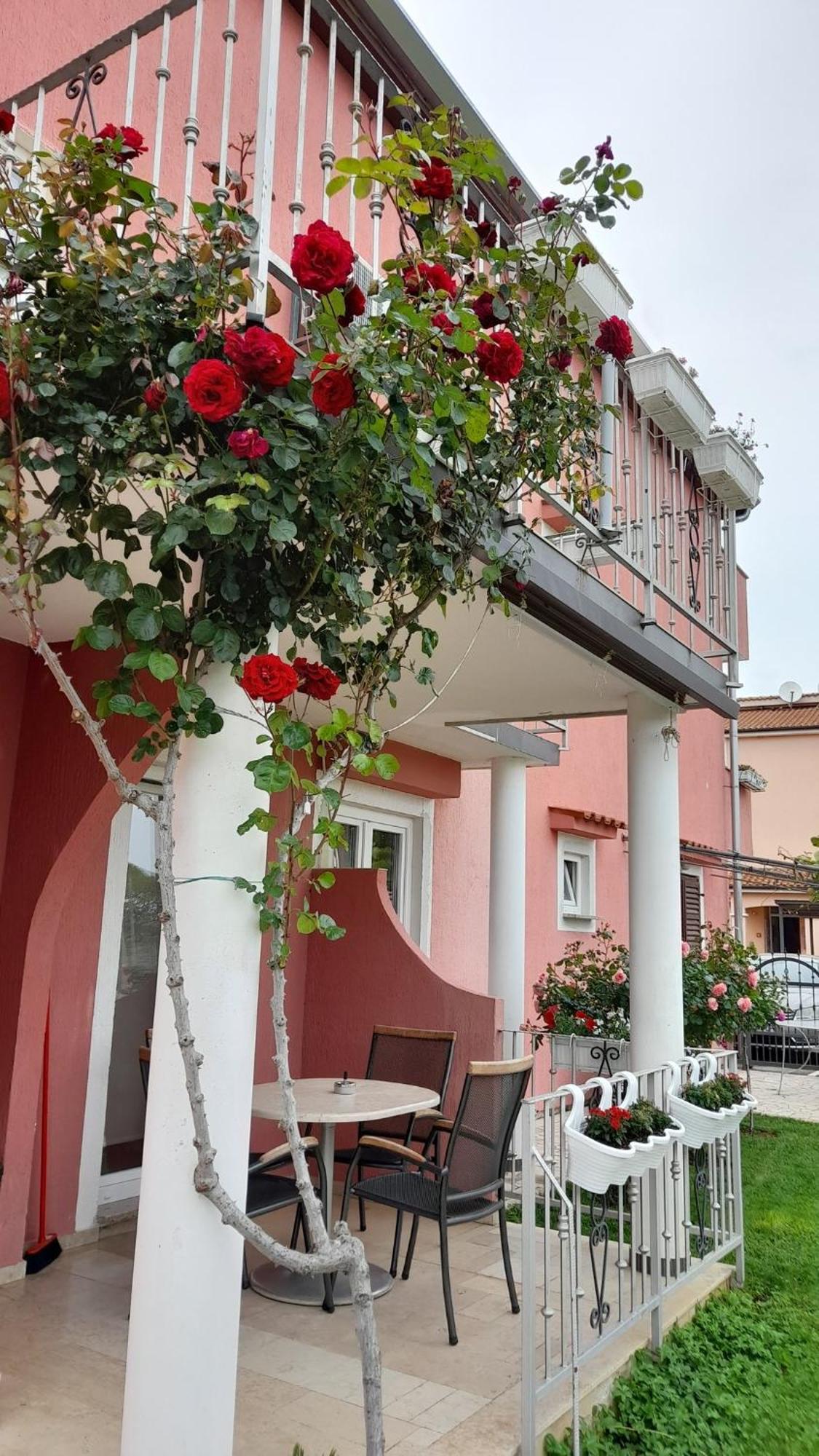 Apartments Dragica Πόρετς Εξωτερικό φωτογραφία