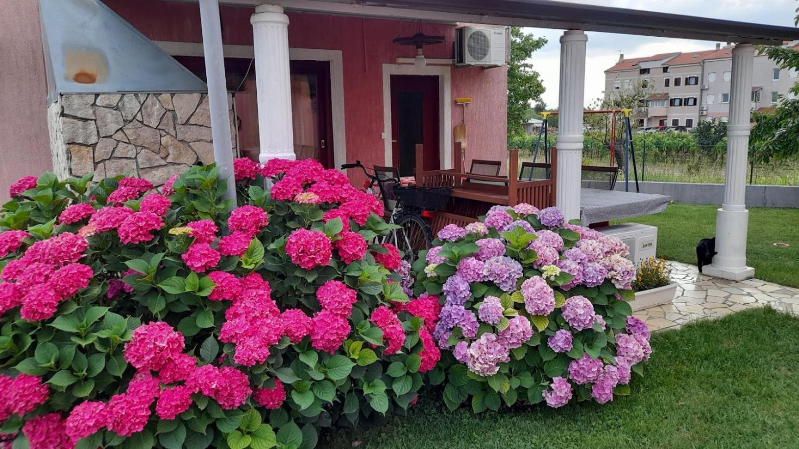 Apartments Dragica Πόρετς Εξωτερικό φωτογραφία