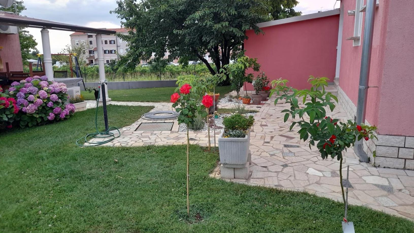 Apartments Dragica Πόρετς Εξωτερικό φωτογραφία